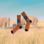 Que pensez-vous de notre paire éléphant ? Elle est pile dans le thème car c'est leur journée mondiale 🐘

#achile #achilesocks #chaussettes #mode #fantaisie #